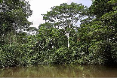 《真三国无双：起源》首次打折 售价仅279元